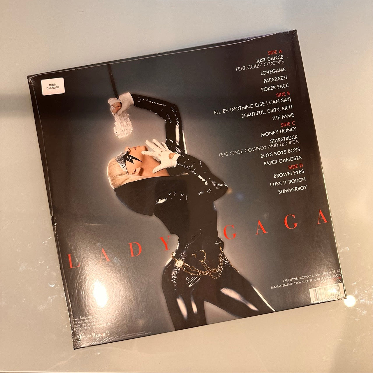 lady gaga the fame record back