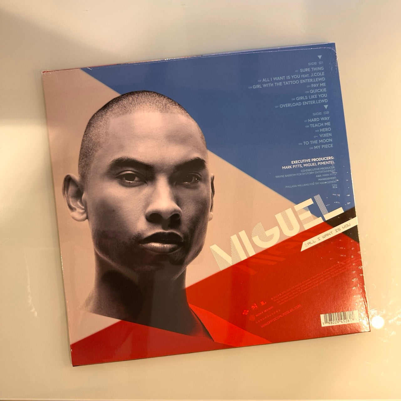 miguel all i want is you record back cover