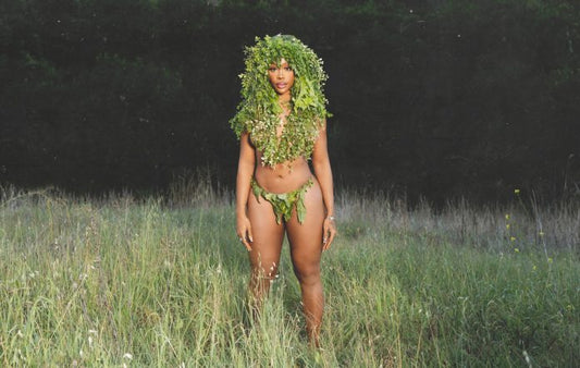 A Deeper Dive: SZA's 'SOS Deluxe: LANA'