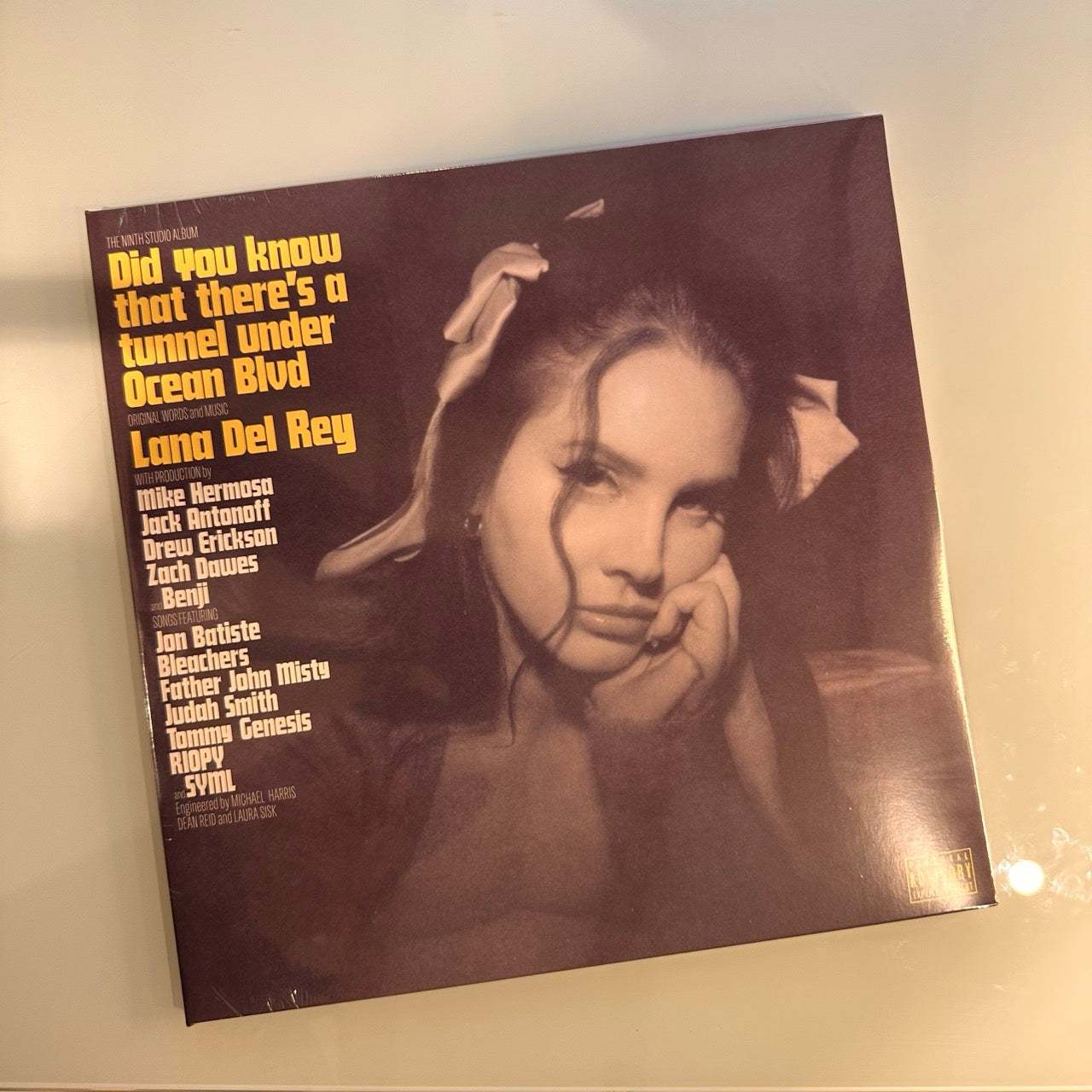 lana del rey did you know there's a tunnel front cover