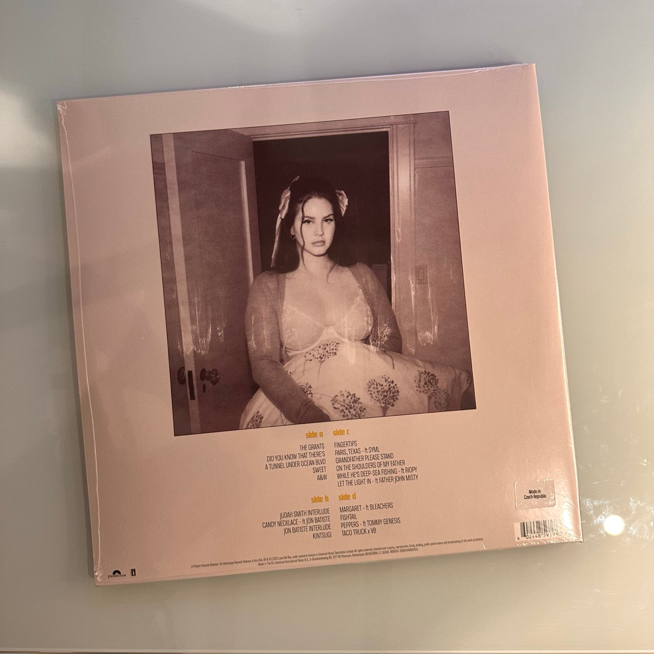 lana del rey did you know there's a tunnel back cover vinyl