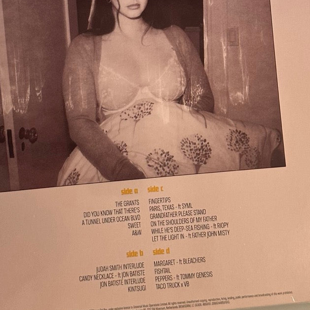 lana del rey did you know there's a tunnel tracklist