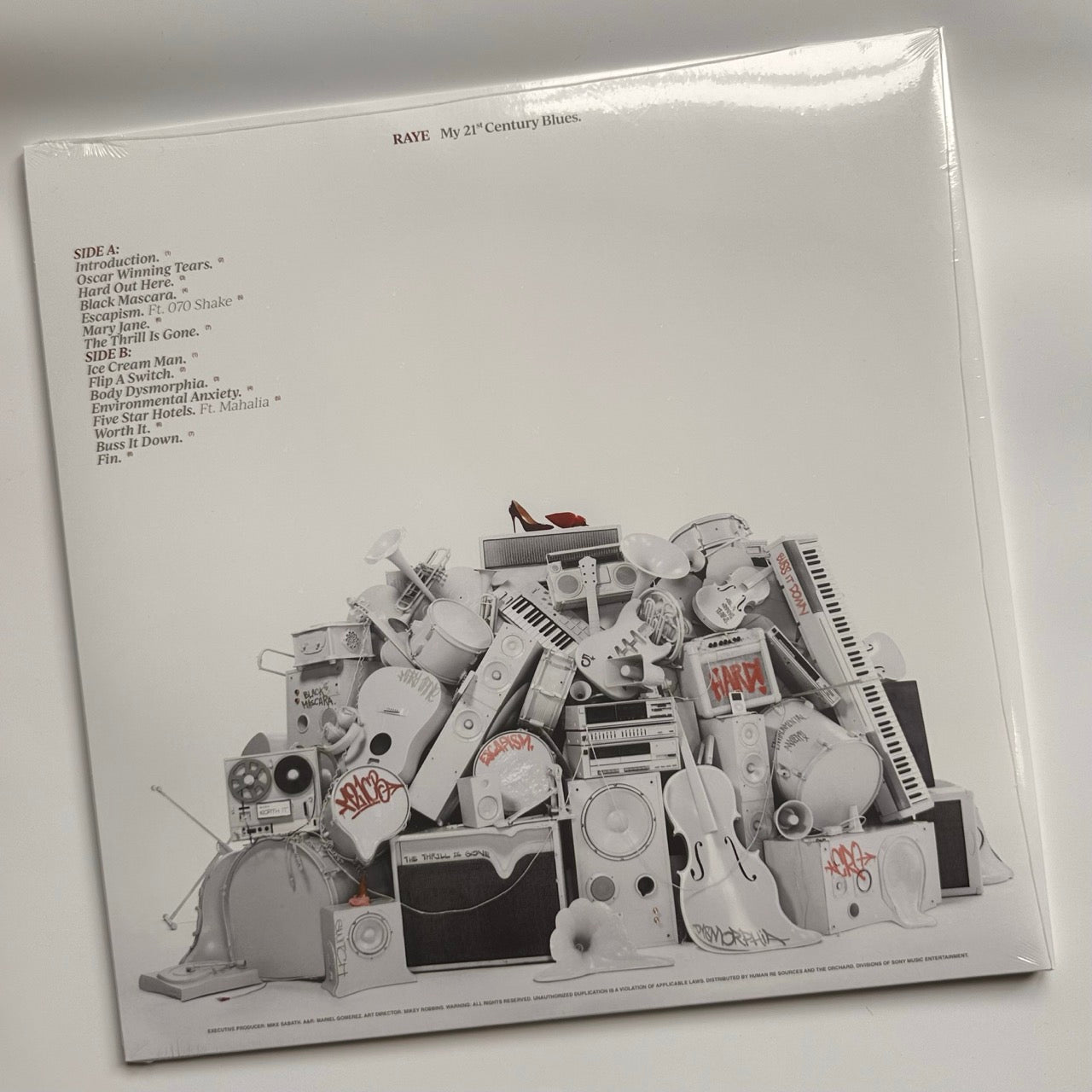 raye album back cover 21st century blues