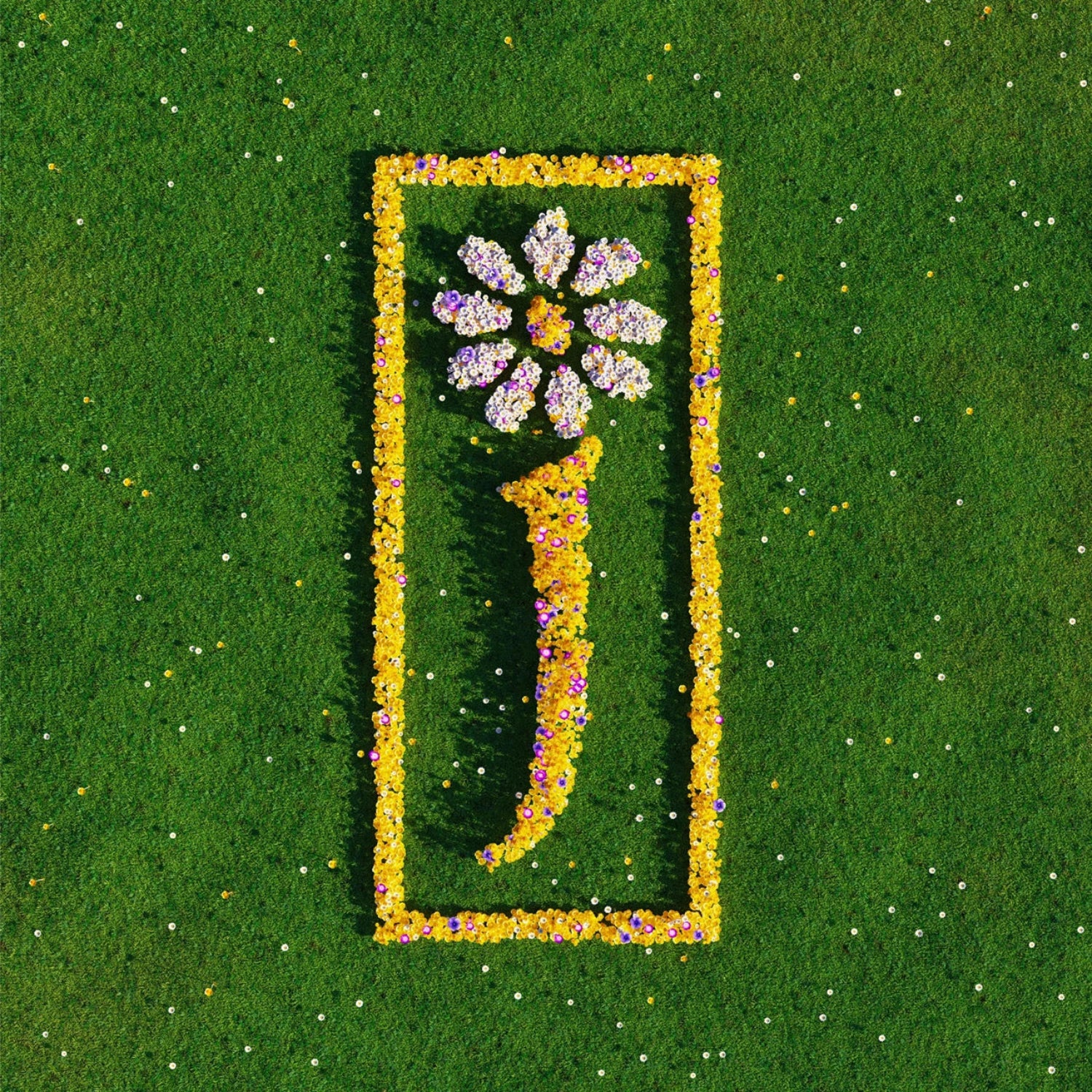 JAMES - Nothing But Love – The Definitive Best Of, 2xLP vinyl