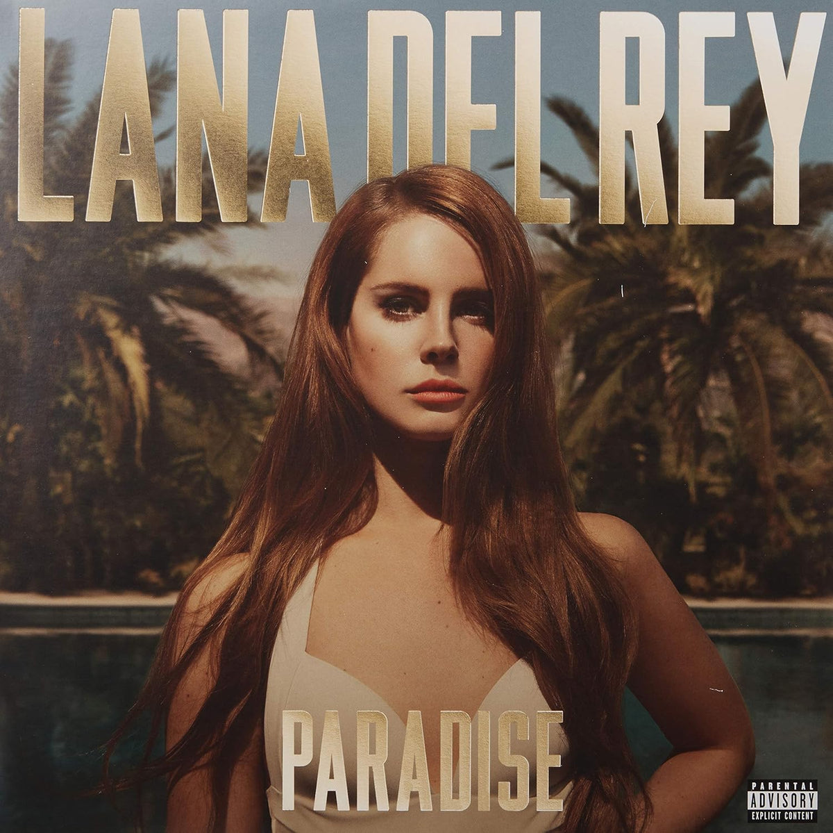 Paradise Vinyl