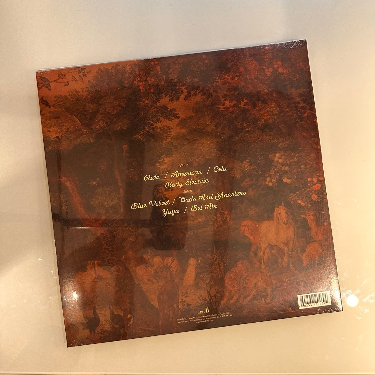 lana del rey paradise back cover of record