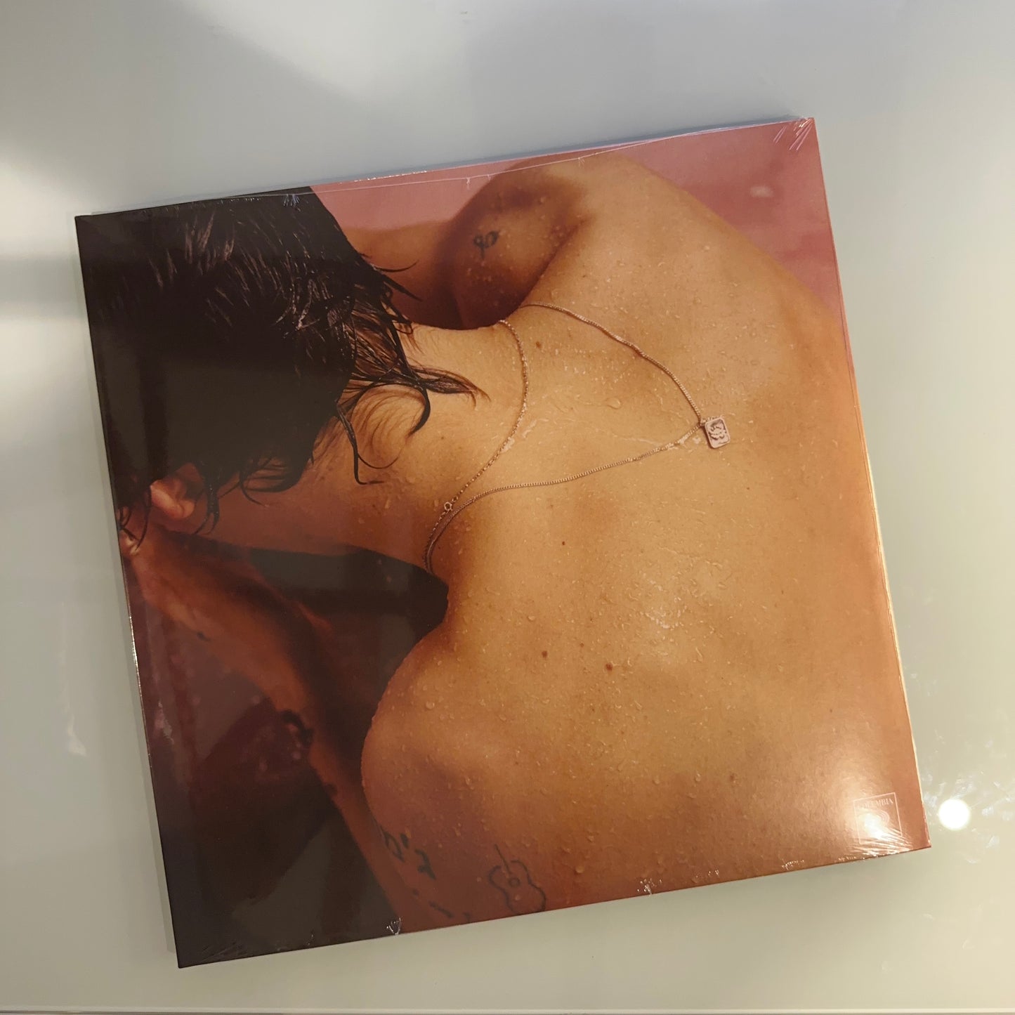 harry style self titled album LP cover