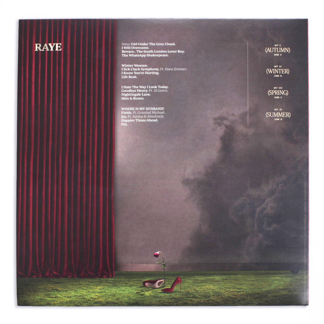 Raye THIS MUSIC MAY CONTAIN HOPE  vinyl back cover 