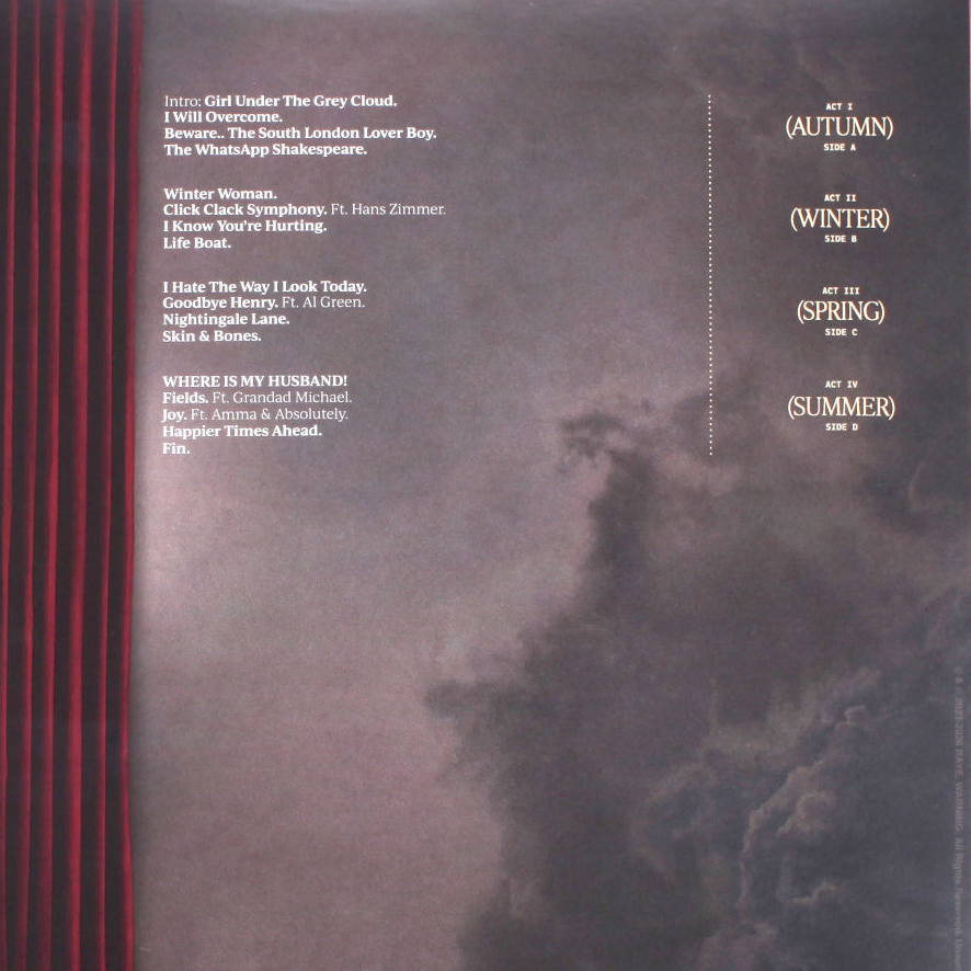Raye THIS MUSIC MAY CONTAIN HOPE  vinyl tracklist