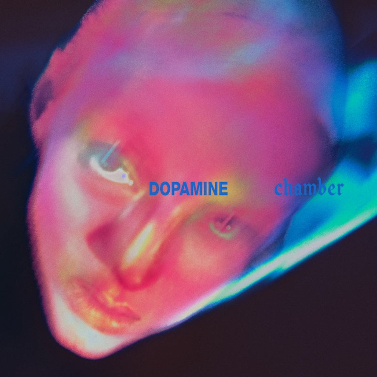 Fontaines D.C. - Dopamine Chamber, vinyl cover