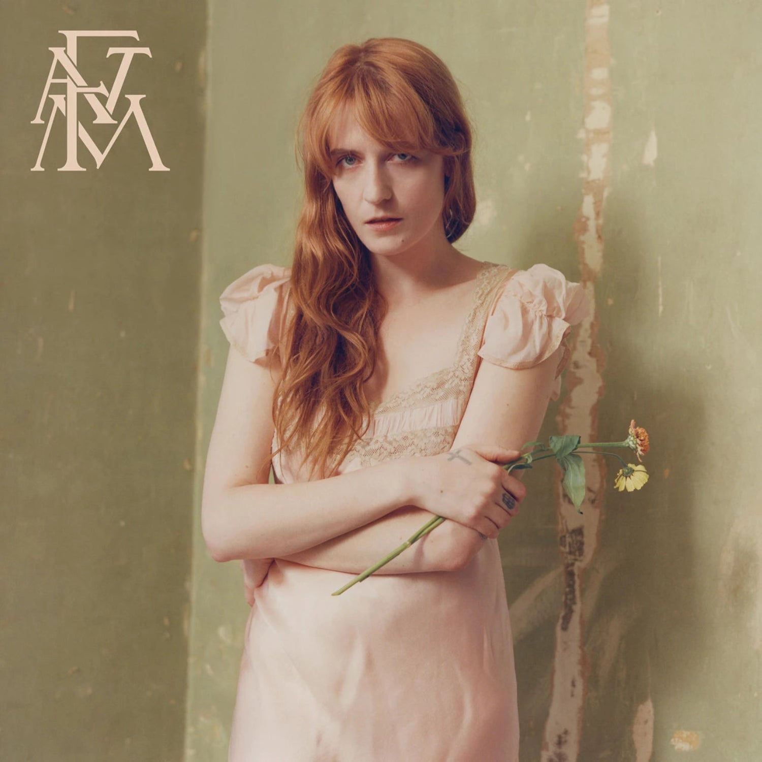 Florence And The Machine - High As Hope vinyl cover artwork