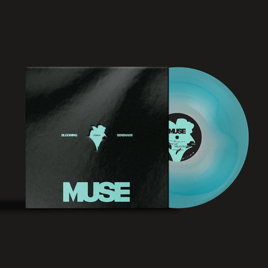 JIMIN - Muse, Photo Book, Lyric Cards (7 each), Photo Stamp and Photo Card