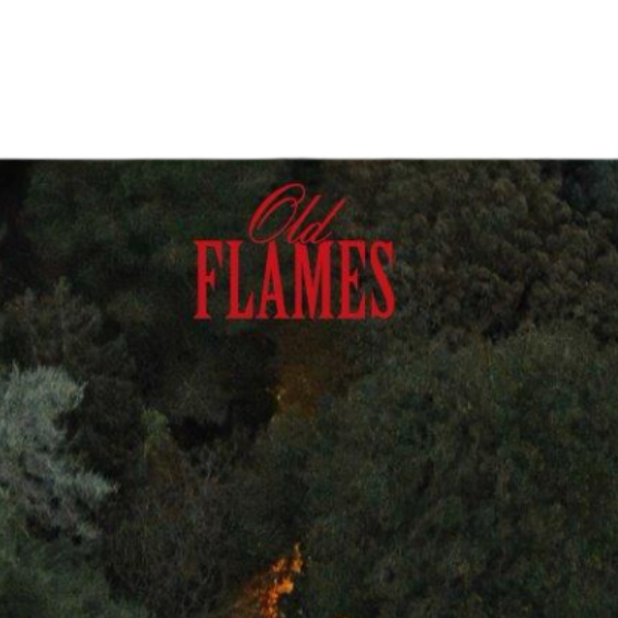 La Roux - Old Flame, Limited Edition Green Vinyl title detail