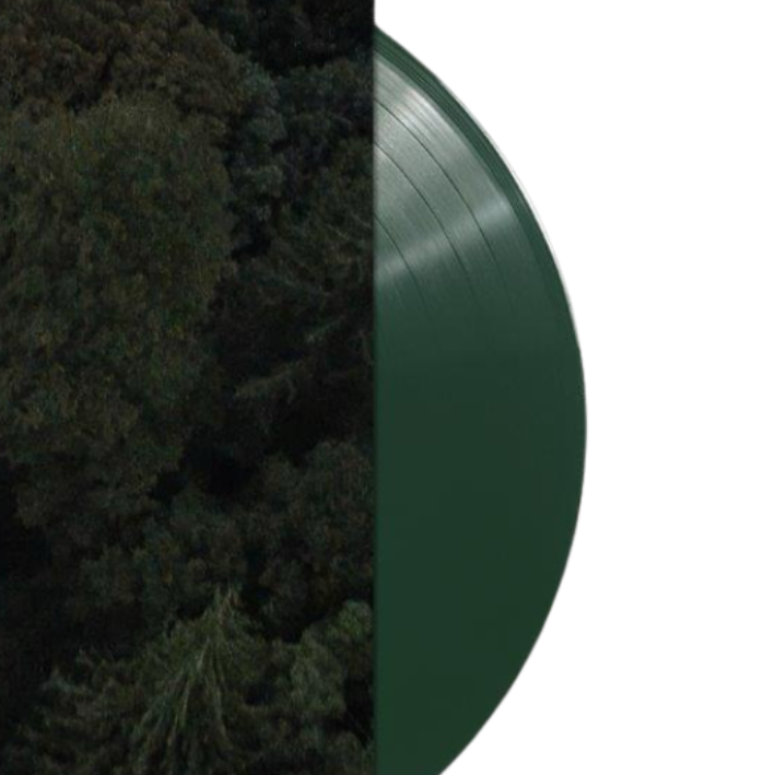 La Roux - Old Flame, Limited Edition Green Vinyl record close up 