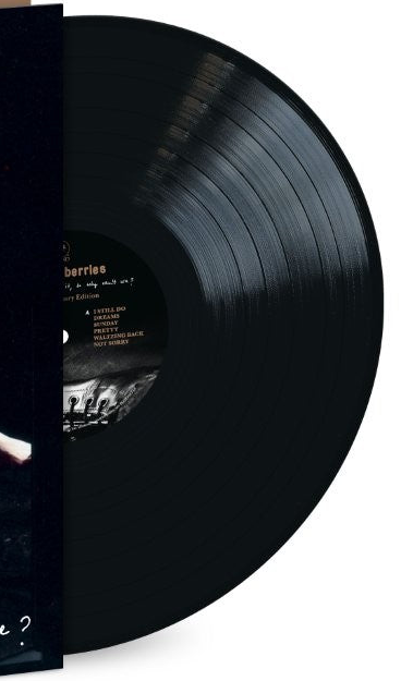 The Cranberries - Everybody Else Is Doing It, So Why Can't We? Black Vinyl LP record close up 